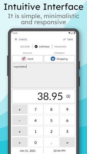 MyMoney Pro - Expense Budget